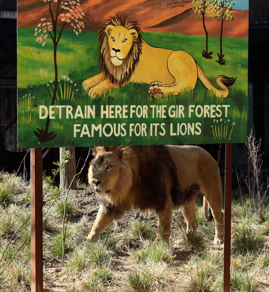 Ζήσε μια μοναδική εμπειρία από το Vodafone TV!