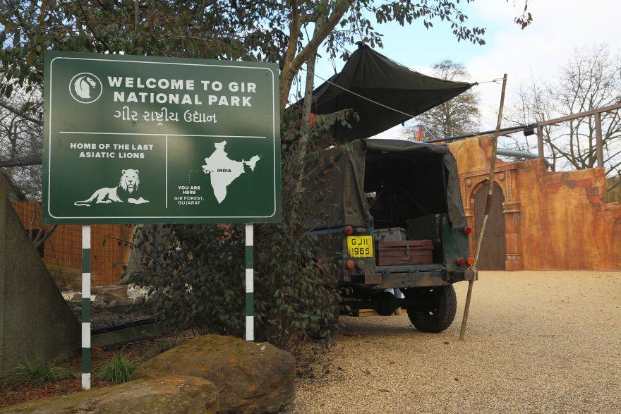 Ζήσε μια μοναδική εμπειρία από το Vodafone TV!