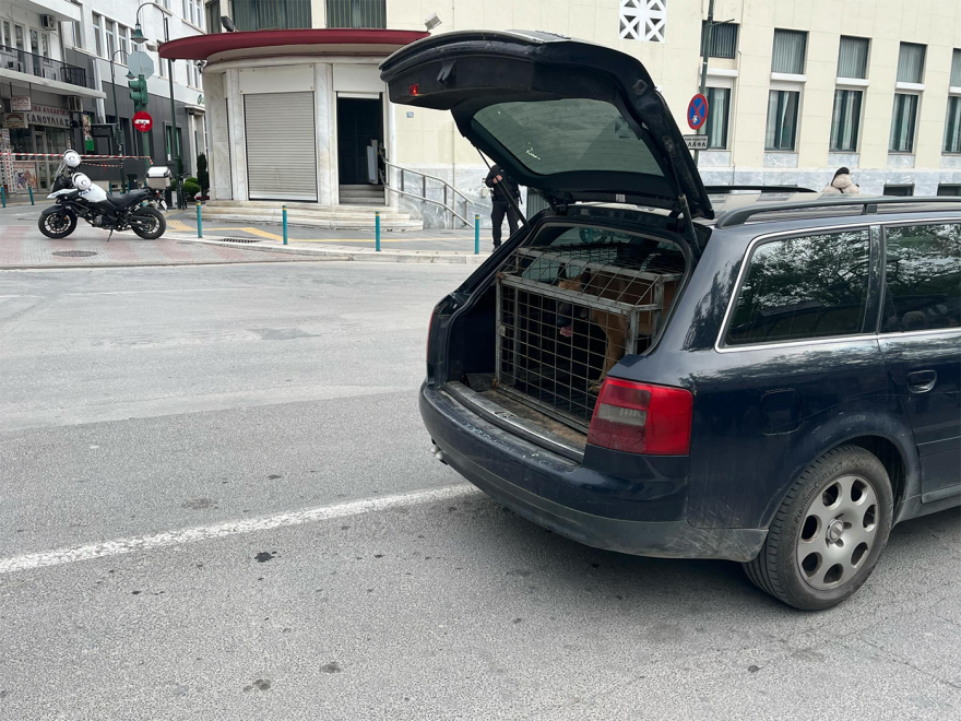 Τηλεφώνημα για εκρηκτικό μηχανισμό σε τράπεζα στο κέντρο της Λάρισας