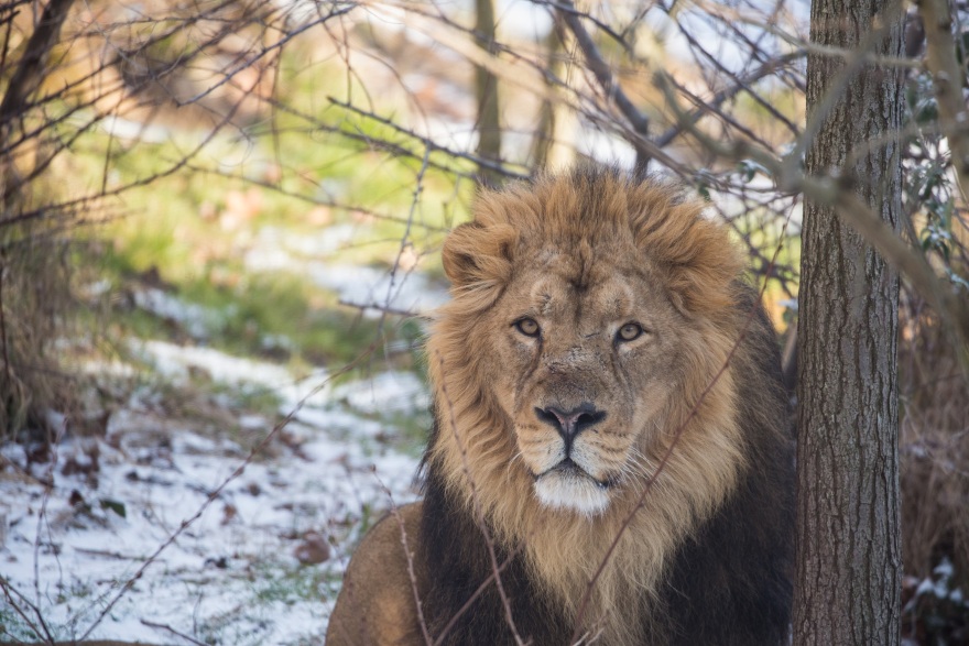 Ζήσε μια μοναδική εμπειρία από το Vodafone TV!