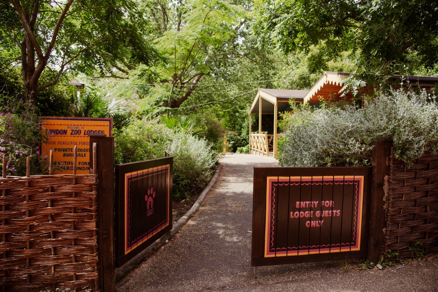 Ζήσε μια μοναδική εμπειρία από το Vodafone TV!