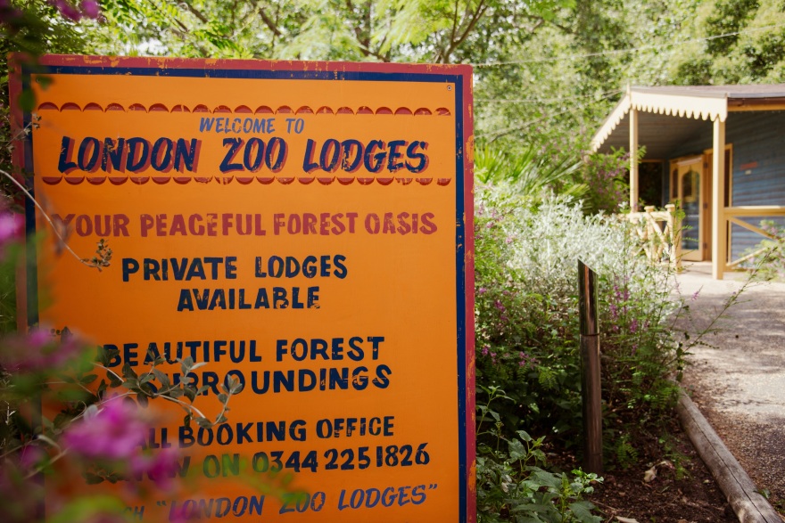 Ζήσε μια μοναδική εμπειρία από το Vodafone TV!