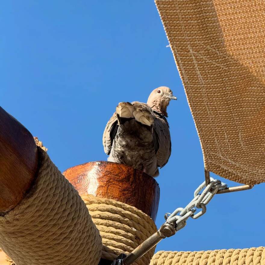 Η Ζέτα Δούκα περιγράφει πώς πέρασε το Πάσχα: «Έκανα αυτό που είχα πραγματικά ανάγκη»