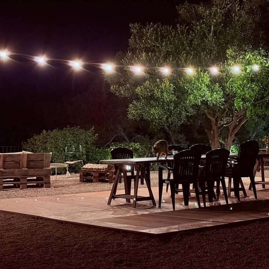 Ντορέττα Παπαδημητρίου - Γιώργος Γεροντιδάκης: Οι φωτογραφίες από τις κοινές διακοπές τους στην Αίγινα