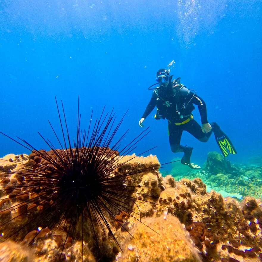 Ντορέττα Παπαδημητρίου - Γιώργος Γεροντιδάκης: Οι φωτογραφίες από τις κοινές διακοπές τους στην Αίγινα
