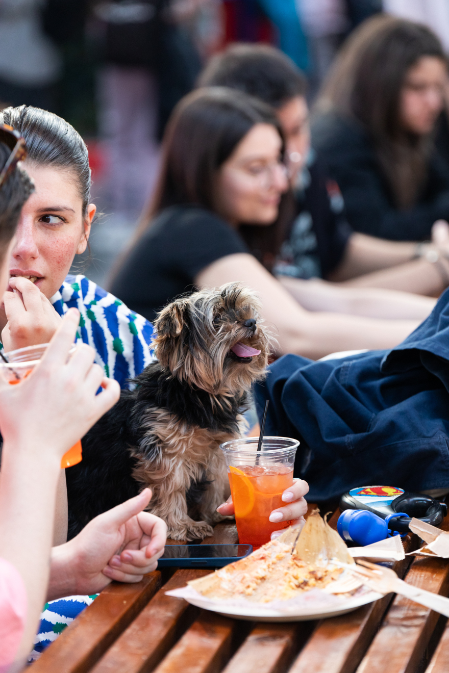 Athens Street Food Festival: Το πάρτι-θεσμός της ελληνικής γαστρονομίας ξεκινά στις 2 Μαΐου