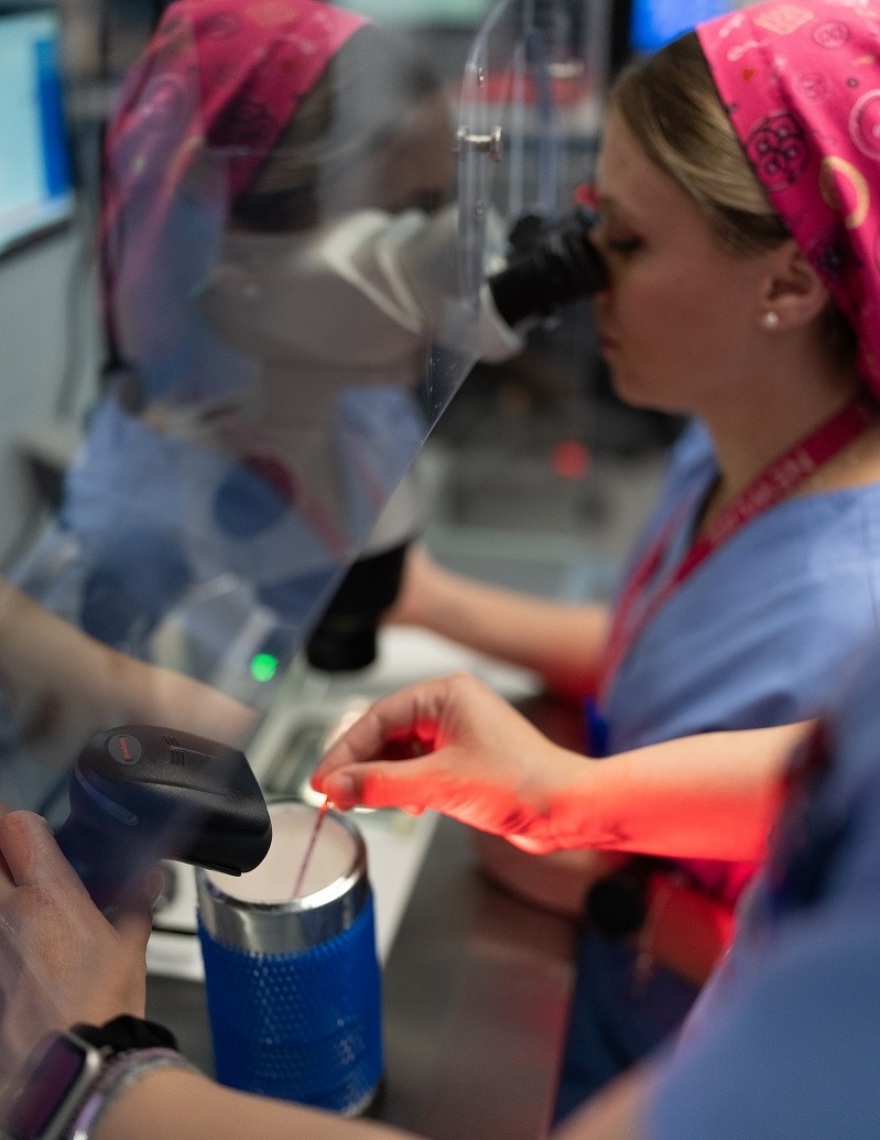 Το μυστικό της γονιμότητας: πως να κερδίσεις τον χρόνο