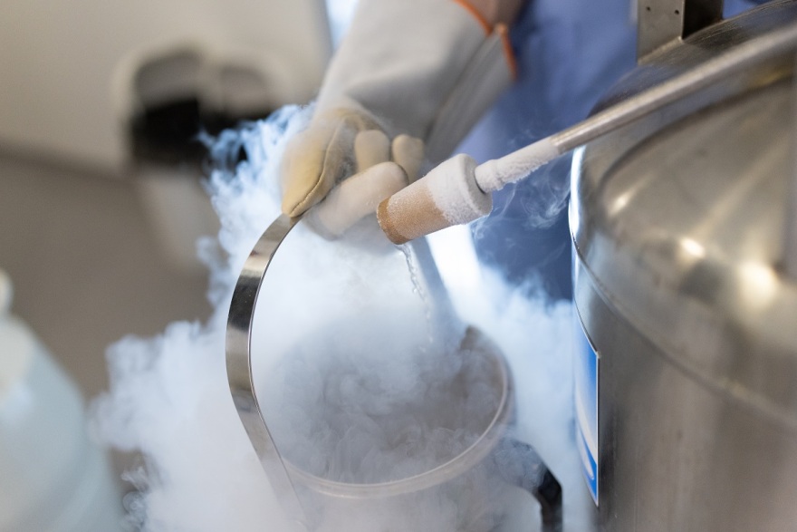 Το μυστικό της γονιμότητας: πως να κερδίσεις τον χρόνο