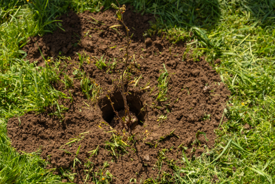 Η ελπίδα «ριζώνει» ξανά στον Δήμο Σιντικής