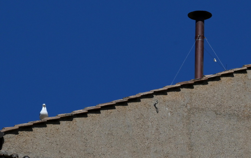 Στήθηκε η καμινάδα στην Καπέλα Σιστίνα - Αντίστροφη μέτρηση για το κονκλάβιο, δείτε φωτογραφίες