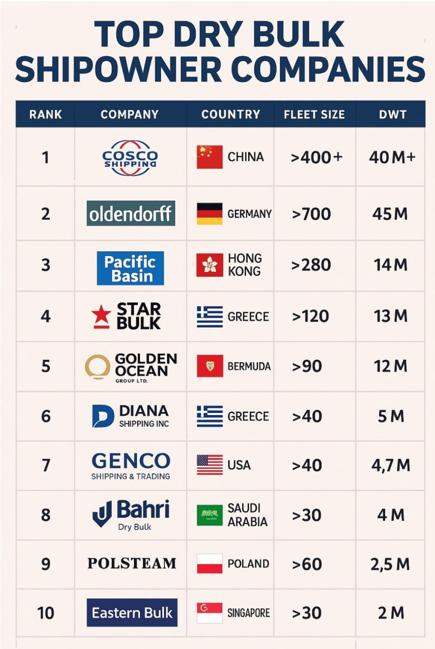 Οι 10 κορυφαίοι εφοπλιστές που κυριαρχούν στην παγκόσμια αγορά ξηρού φορτίου το 2025 – Ηγετική η παρουσία της Ελλάδας
