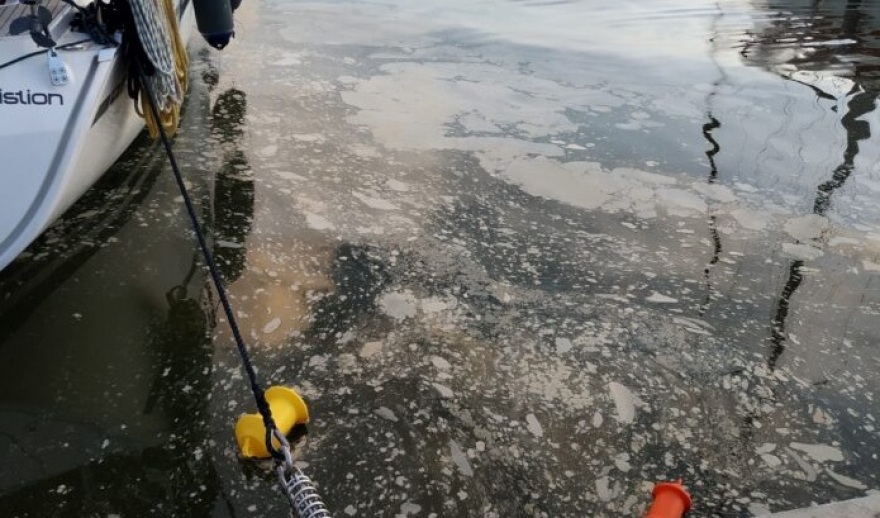 Θαλάσσια ρύπανση και έντονη δυσοσμία στο λιμάνι του Βόλου - Δείτε φωτογραφίες