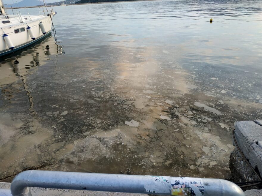 Θαλάσσια ρύπανση και έντονη δυσοσμία στο λιμάνι του Βόλου - Δείτε φωτογραφίες