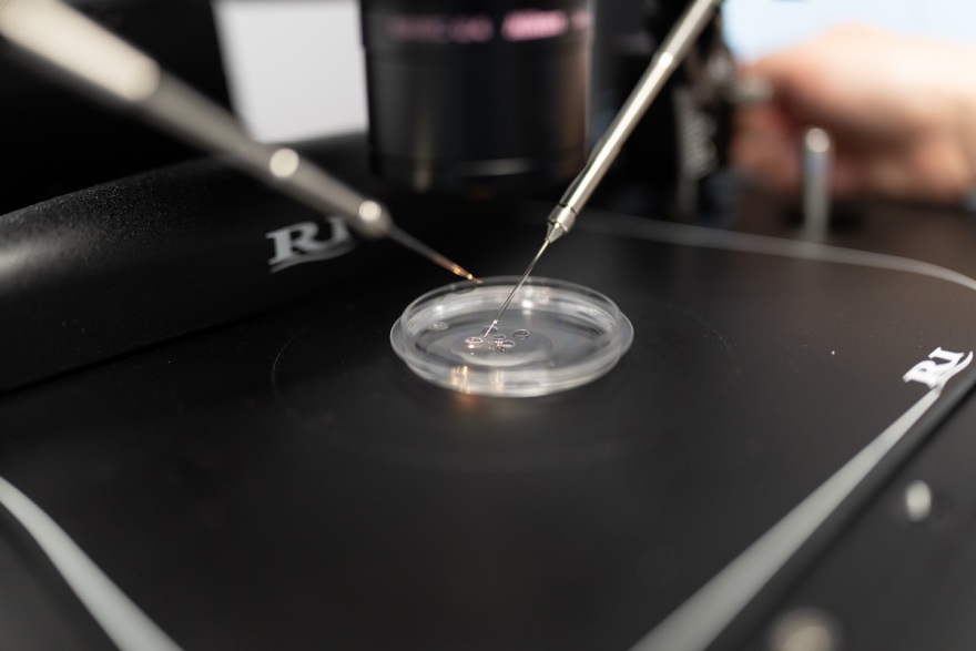 Το όνειρο της οικογένειας σε κρίση: Υπογεννητικότητα, υπογονιμότητα και οι σύγχρονες λύσεις που αλλάζουν τα δεδομένα