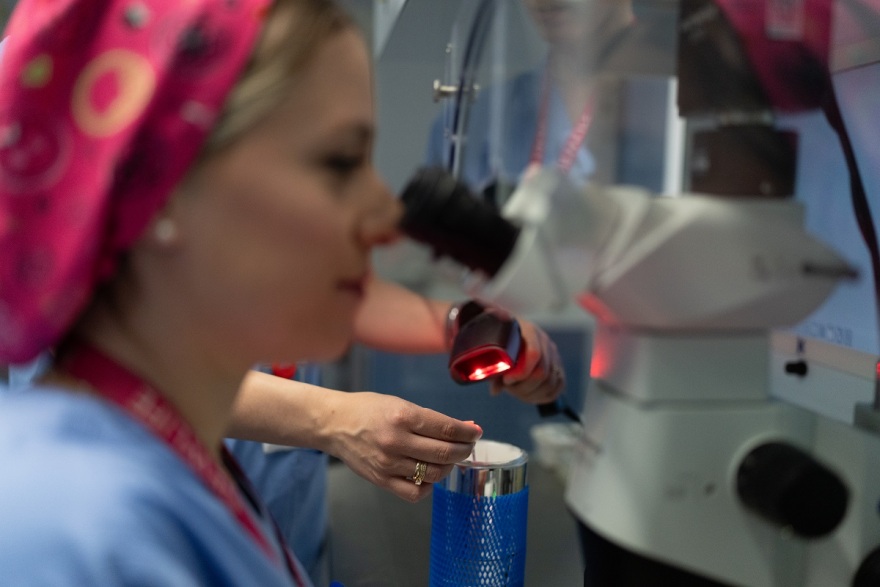 Το όνειρο της οικογένειας σε κρίση: Υπογεννητικότητα, υπογονιμότητα και οι σύγχρονες λύσεις που αλλάζουν τα δεδομένα