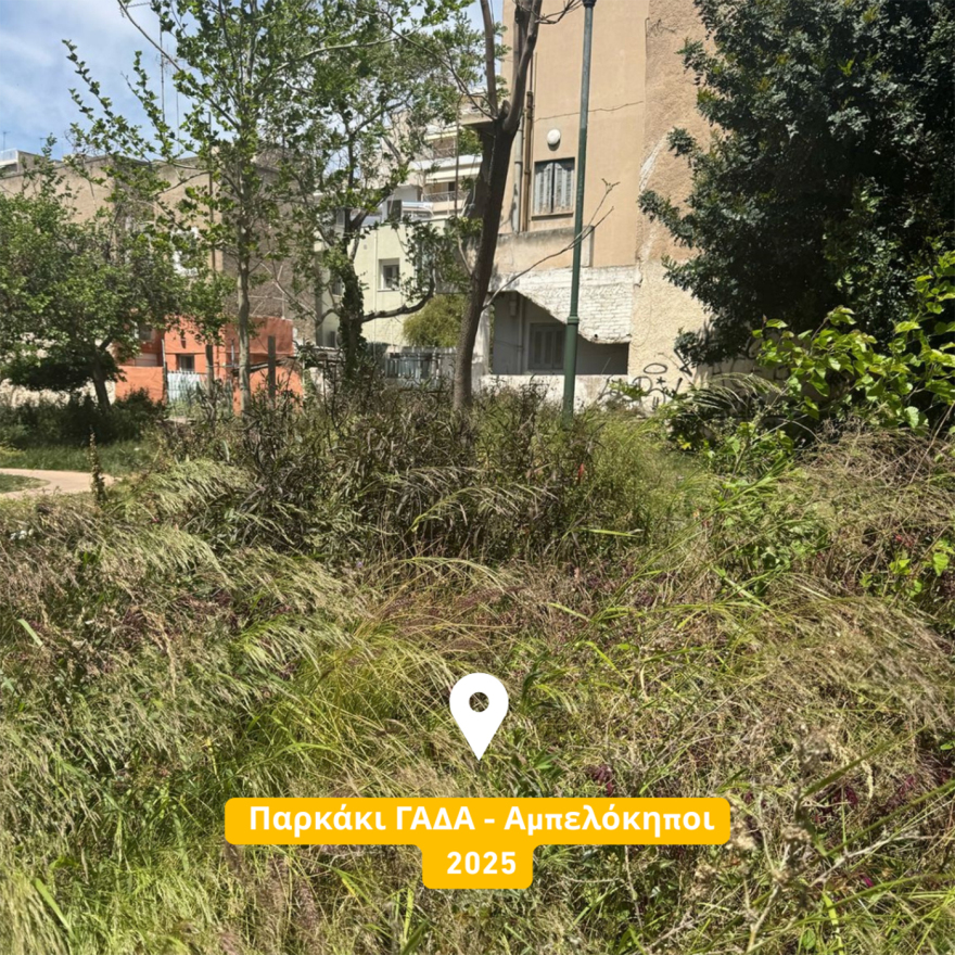 Νέα επίθεση Μπακογιάννη σε Δούκα: Εικόνες εγκατάλειψης και αδιαφορίας στα πάρκα της Αθήνας