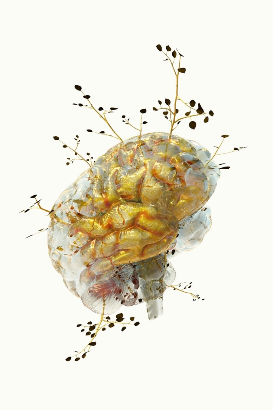 «Phytobiosomes» από τον Costas Picadas: Mια μοναδική έκθεση σε έναν πρωτότυπο χώρο από έναν πολυσχιδή καλλιτέχνη
