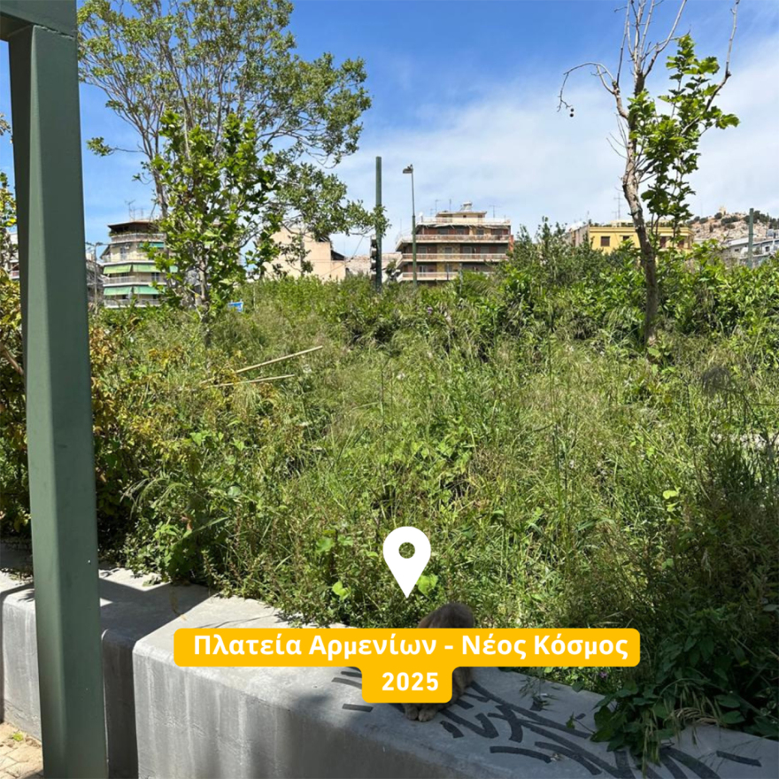 Νέα επίθεση Μπακογιάννη σε Δούκα: Εικόνες εγκατάλειψης και αδιαφορίας στα πάρκα της Αθήνας