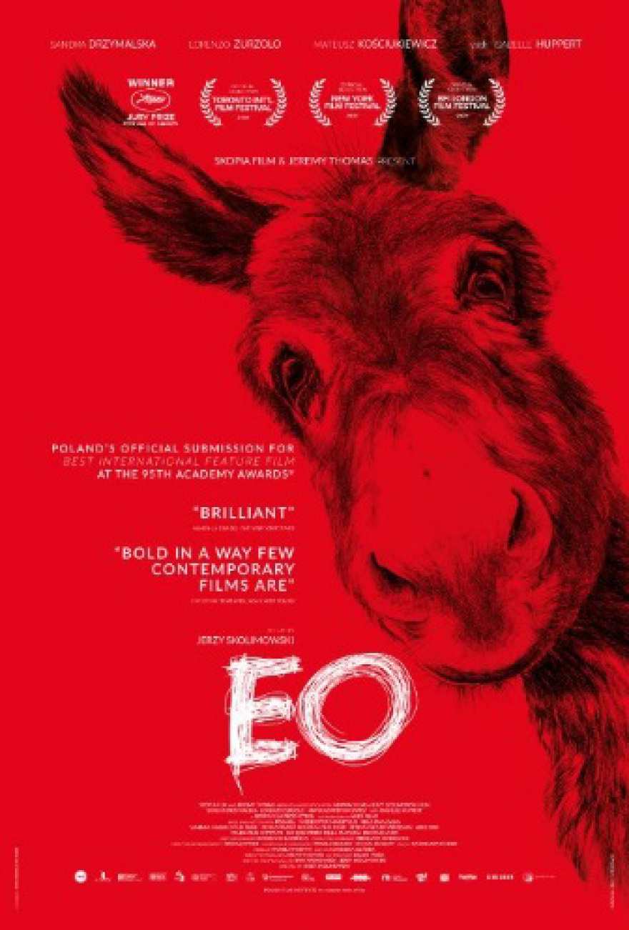 Η Nova στο Φεστιβάλ Καννών με special αφιέρωμα “Best of Cannes” 18 ταινιών και ανταποκρίσεις από την Πόλυ Λυκούργου!
