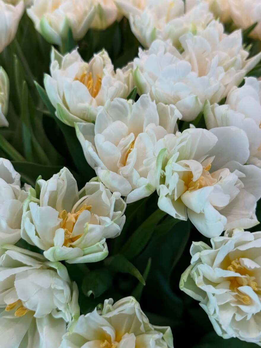 Η Ζιζέλ Μπούντχεν δημοσίευσε τις πρώτες φωτογραφίες με τον τριών μηνών γιο της: «Η καρδιά μου είναι γεμάτη»