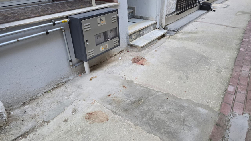 Έγκλημα στη Λάρισα: Μετά από καβγά σκότωσε τη μητέρα του ο 21χρονος - Έψαχνε για ώρες πώς να ξεφορτωθεί το πτώμα