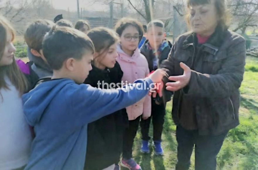 Μαθητές δημοτικού σχολείου της Ξάνθης υιοθέτησαν τον Φοίνικα, έναν κακοποιημένο σκύλο - Γεγονότα