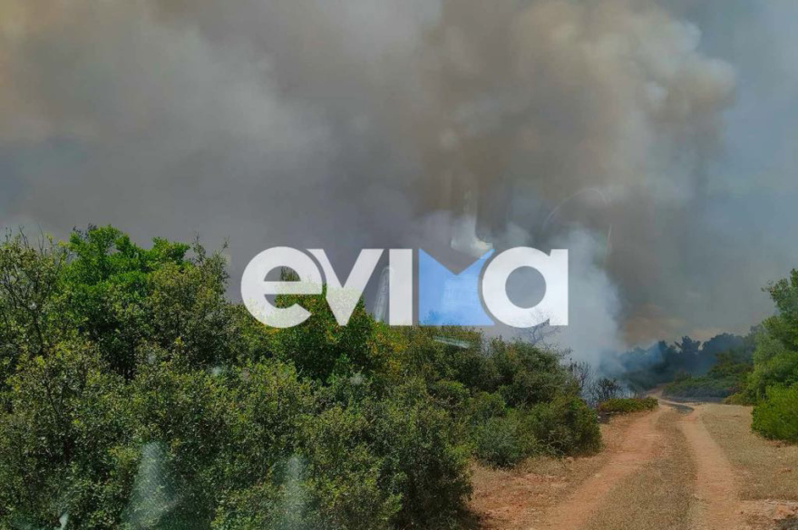 Φωτιά τώρα στη Ριτσώνα: Επιχειρούν και εναέρια μέσα