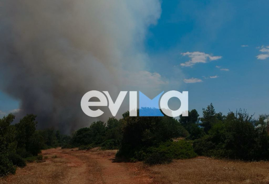 Φωτιά τώρα στη Ριτσώνα: Επιχειρούν και εναέρια μέσα