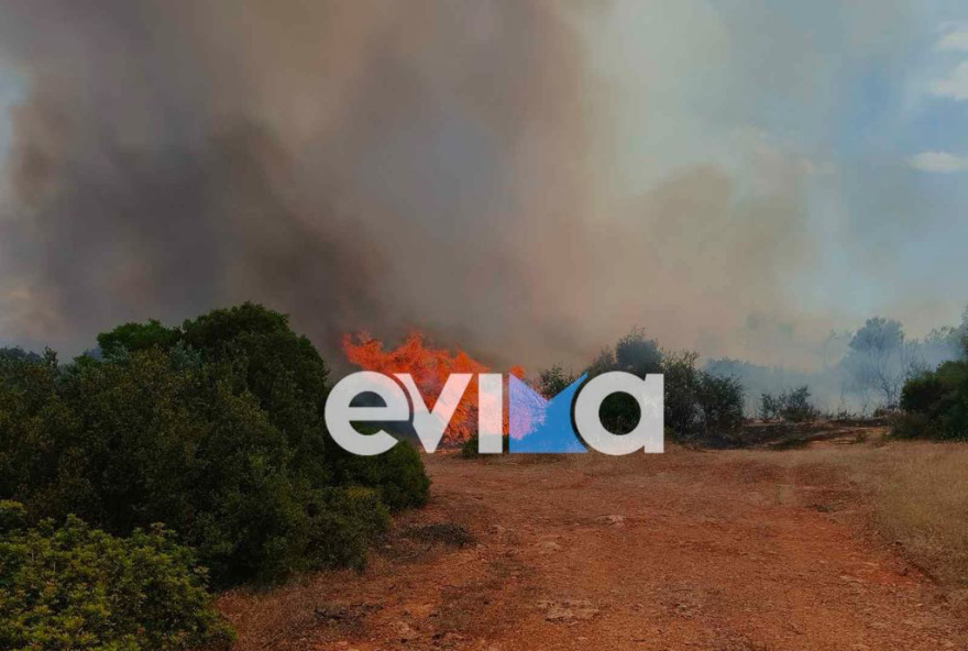 Φωτιά τώρα στη Ριτσώνα: Επιχειρούν και εναέρια μέσα