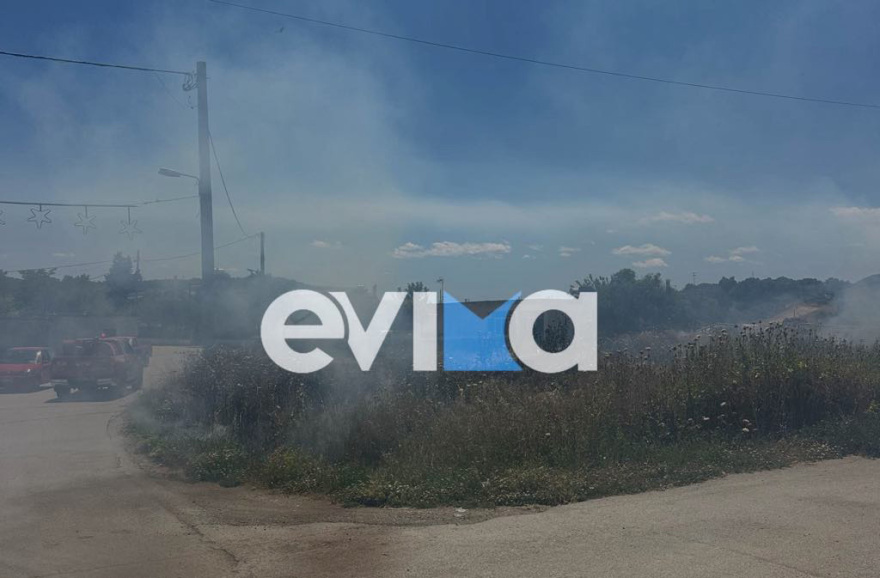Φωτιά τώρα στη Ριτσώνα: Επιχειρούν και εναέρια μέσα