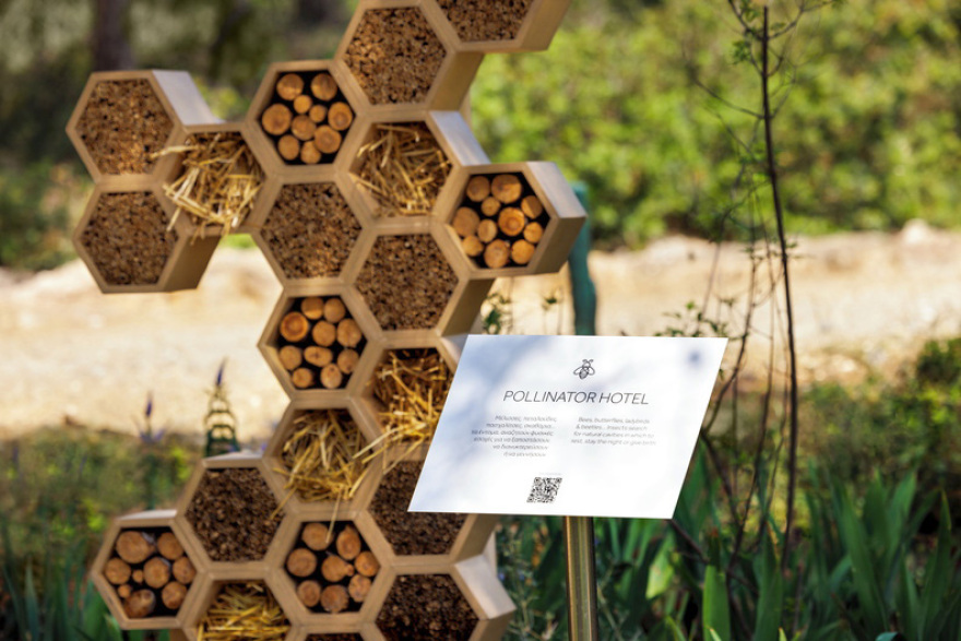 TÜV AUSTRIA στην Ελλάδα και Όμιλος Sani/Ikos: Μετρήσιμα οφέλη στην Πάρνηθα από το πρόγραμμα «SAVE THE BEE - The Parnitha Bee Project» - ξεκινά η 2η φάση με διευρυμένες δράσεις