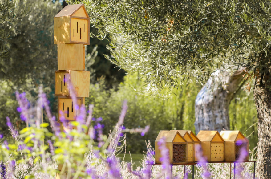 TÜV AUSTRIA στην Ελλάδα και Όμιλος Sani/Ikos: Μετρήσιμα οφέλη στην Πάρνηθα από το πρόγραμμα «SAVE THE BEE - The Parnitha Bee Project» - ξεκινά η 2η φάση με διευρυμένες δράσεις