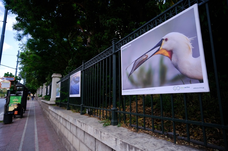Υπαίθρια φωτογραφική έκθεση: Η ομορφιά των περιοχών Natura 2000 στην καρδιά της Αθήνας