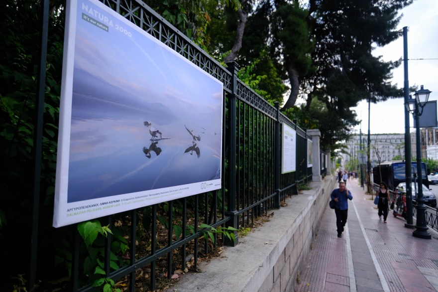 Υπαίθρια φωτογραφική έκθεση: Η ομορφιά των περιοχών Natura 2000 στην καρδιά της Αθήνας