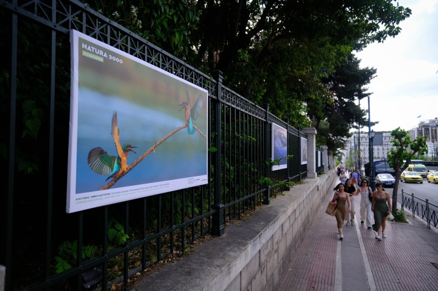 Υπαίθρια φωτογραφική έκθεση: Η ομορφιά των περιοχών Natura 2000 στην καρδιά της Αθήνας