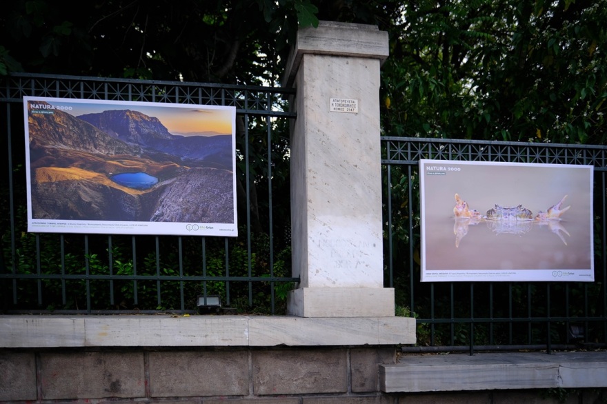 Υπαίθρια φωτογραφική έκθεση: Η ομορφιά των περιοχών Natura 2000 στην καρδιά της Αθήνας