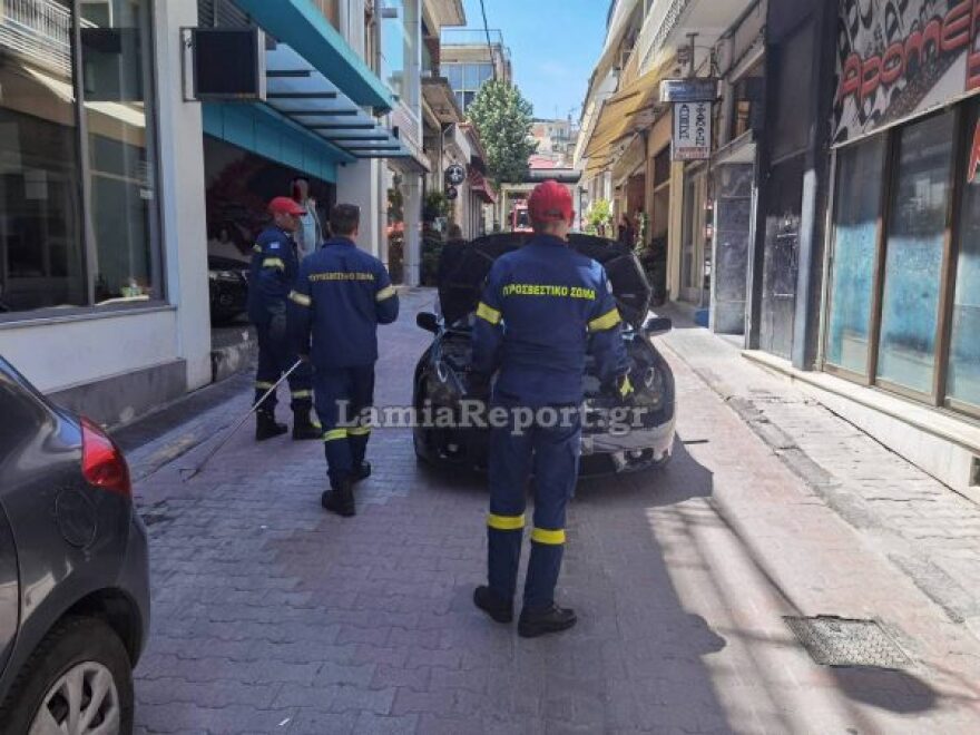 Αναστάτωση στη Λαμία: Οδηγός εντόπισε φίδι στο αυτοκίνητό του - Δείτε βίντεο και φωτογραφίες