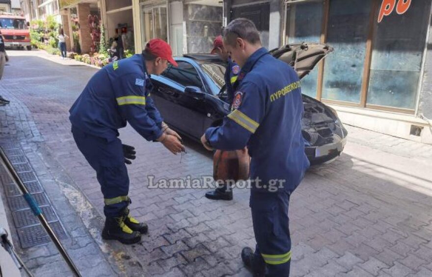 Αναστάτωση στη Λαμία: Οδηγός εντόπισε φίδι στο αυτοκίνητό του - Δείτε βίντεο και φωτογραφίες
