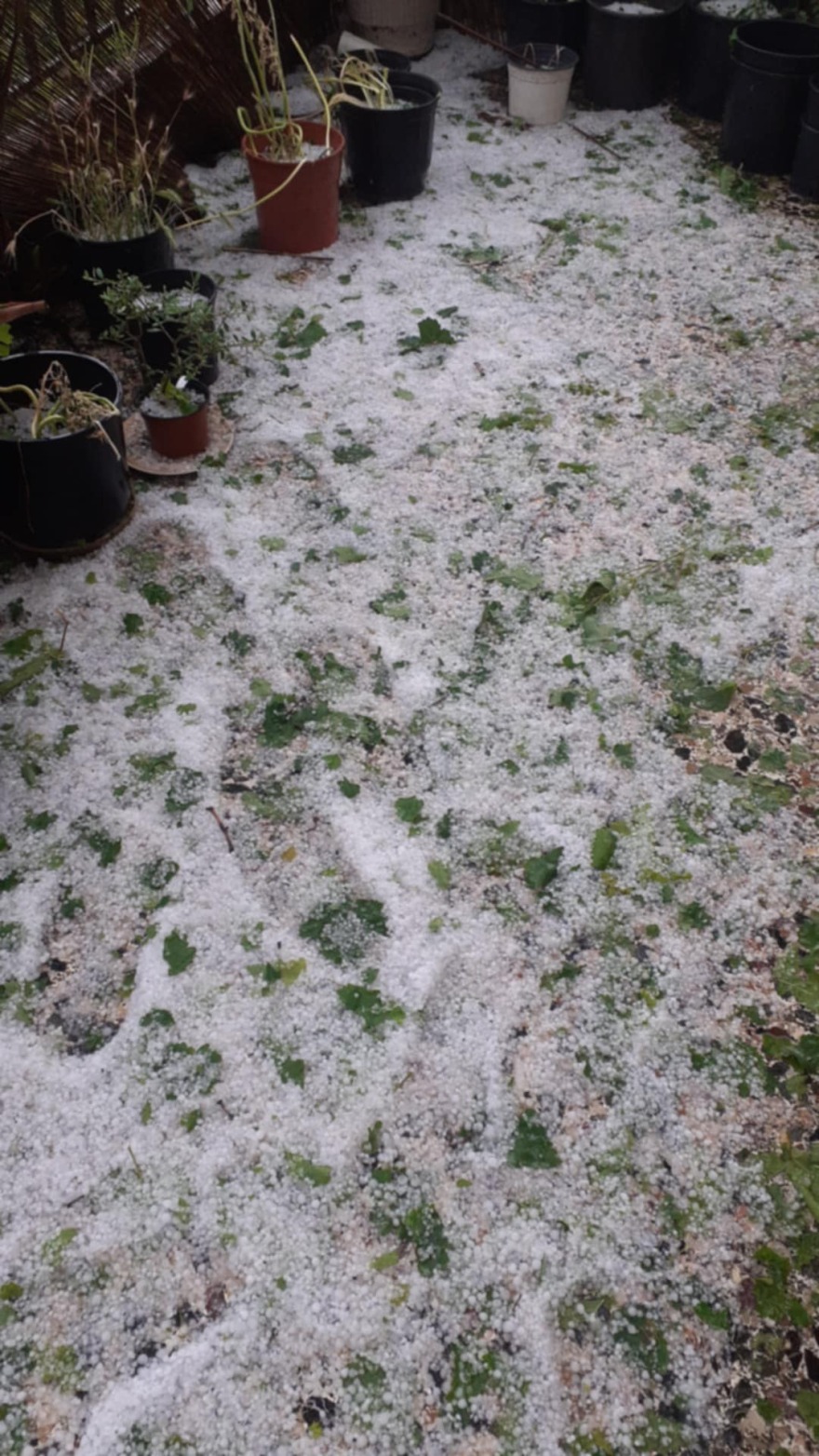 Ισχυρή χαλαζόπτωση σε περιοχές της Λακωνίας - Δείτε φωτογραφίες