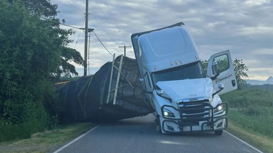 Σμήνος με 250 εκατ. μέλισσες απέδρασε μετά την ανατροπή φορτηγού στις ΗΠΑ - Δείτε βίντεο
