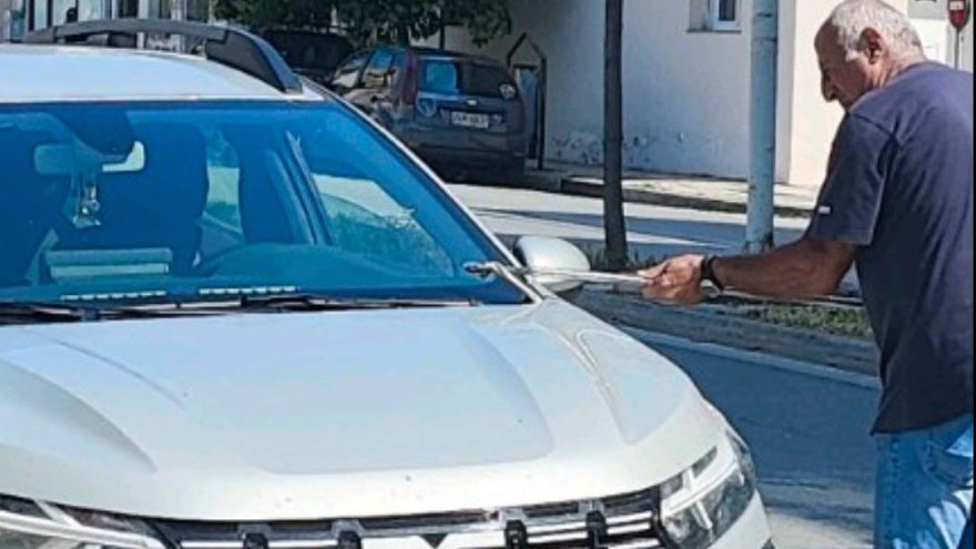 Φίδι ξεπρόβαλε από παρμπρίζ εν κινήσει ΙΧ στο Βόλο – Δείτε φωτογραφίες