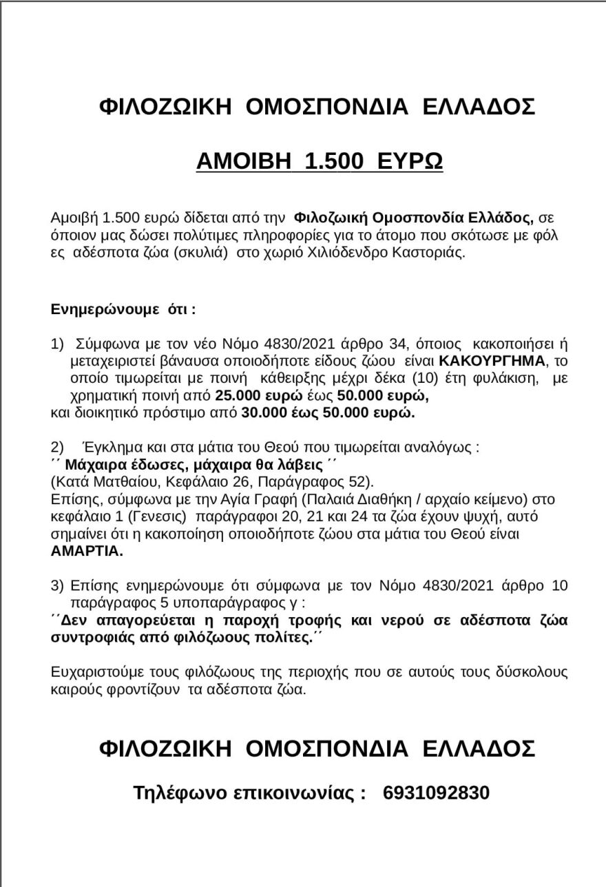 Επικύρηξε άγνωστο που δηλητηριάζει αδέσποτα στην Καστοριά η Φιλοζωική Ομοσπονδία Ελλάδος - Δείτε βίντεο