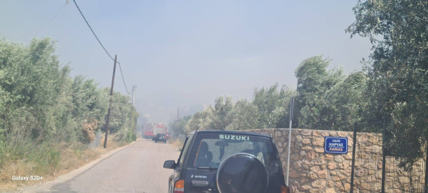 Εκκενώνονται Ανάβυσσος και Παλαιά Φώκαια - Φωτιά καίει κοντά σε σπίτια, δείτε φωτογραφίες Εκκενώνονται Ανάβυσσος και Παλαιά Φώκαια - Φωτιά καίει κοντά σε σπίτια, δείτε φωτογραφίες