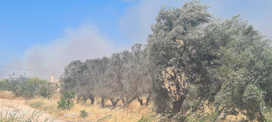 Εκκενώνονται Ανάβυσσος και Παλαιά Φώκαια - Φωτιά καίει κοντά σε σπίτια, δείτε φωτογραφίες Εκκενώνονται Ανάβυσσος και Παλαιά Φώκαια - Φωτιά καίει κοντά σε σπίτια, δείτε φωτογραφίες
