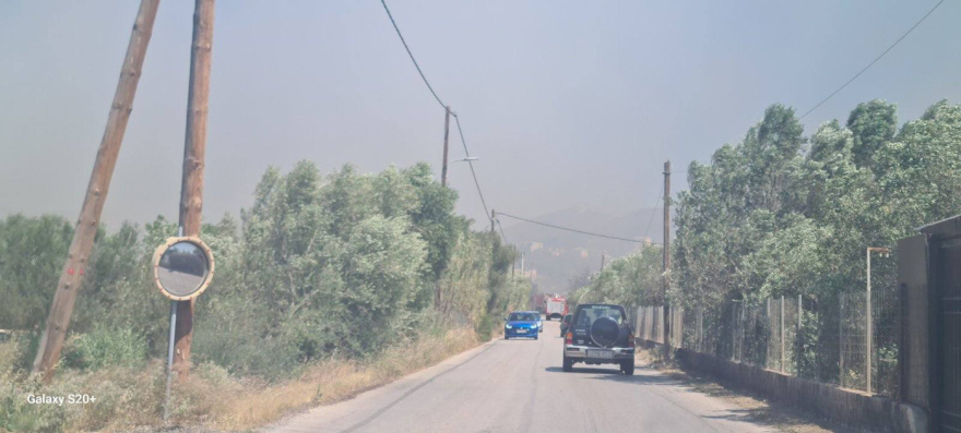 Εκκενώνονται Ανάβυσσος και Παλαιά Φώκαια - Φωτιά καίει κοντά σε σπίτια, δείτε φωτογραφίες Εκκενώνονται Ανάβυσσος και Παλαιά Φώκαια - Φωτιά καίει κοντά σε σπίτια, δείτε φωτογραφίες