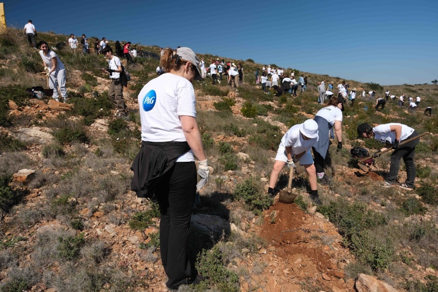Η ελπίδα ριζώνει ξανά στα δάση μας