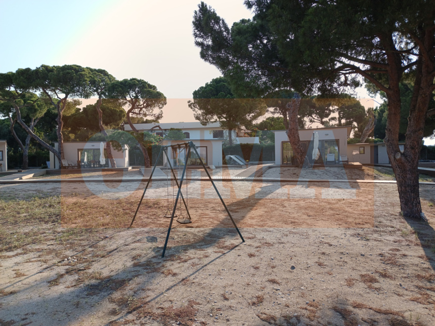 Αυθαίρετα πολυτελή bungalows ξεφύτρωσαν «εν μια νυκτί» εντός του Εθνικού Πάρκου του Σχινιά - Δείτε φωτογραφίες
