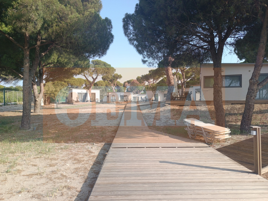 Αυθαίρετα πολυτελή bungalows ξεφύτρωσαν «εν μια νυκτί» εντός του Εθνικού Πάρκου του Σχινιά - Δείτε φωτογραφίες