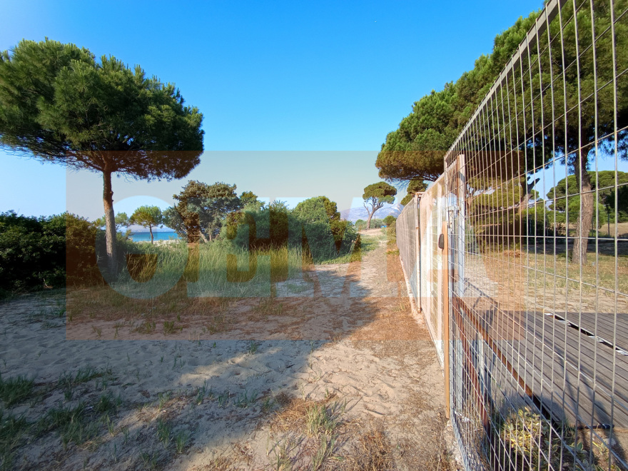 Αυθαίρετα πολυτελή bungalows ξεφύτρωσαν «εν μια νυκτί» εντός του Εθνικού Πάρκου του Σχινιά - Δείτε φωτογραφίες