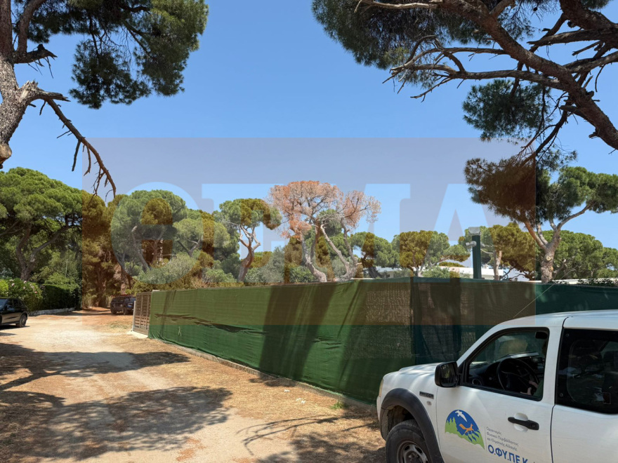 Εισαγγελική παρέμβαση μετά την αποκάλυψη του protothema.gr για bungalows που ξεφύτρωσαν «εν μία νυκτί» εντός του εθνικού πάρκου του Σχινιά